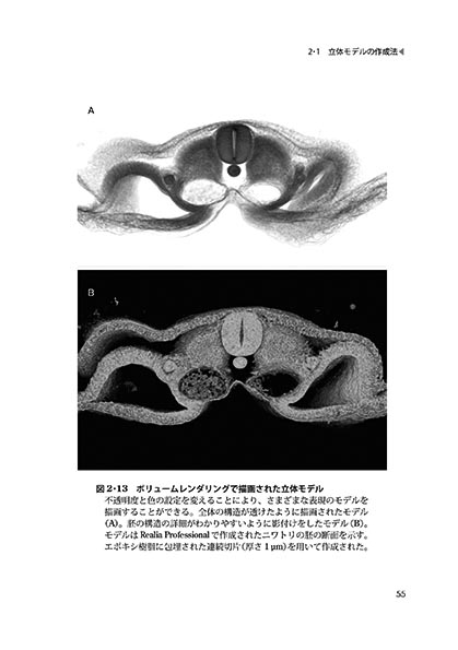 wt[\tgō o[`XCh3Df̍쐬@x e{